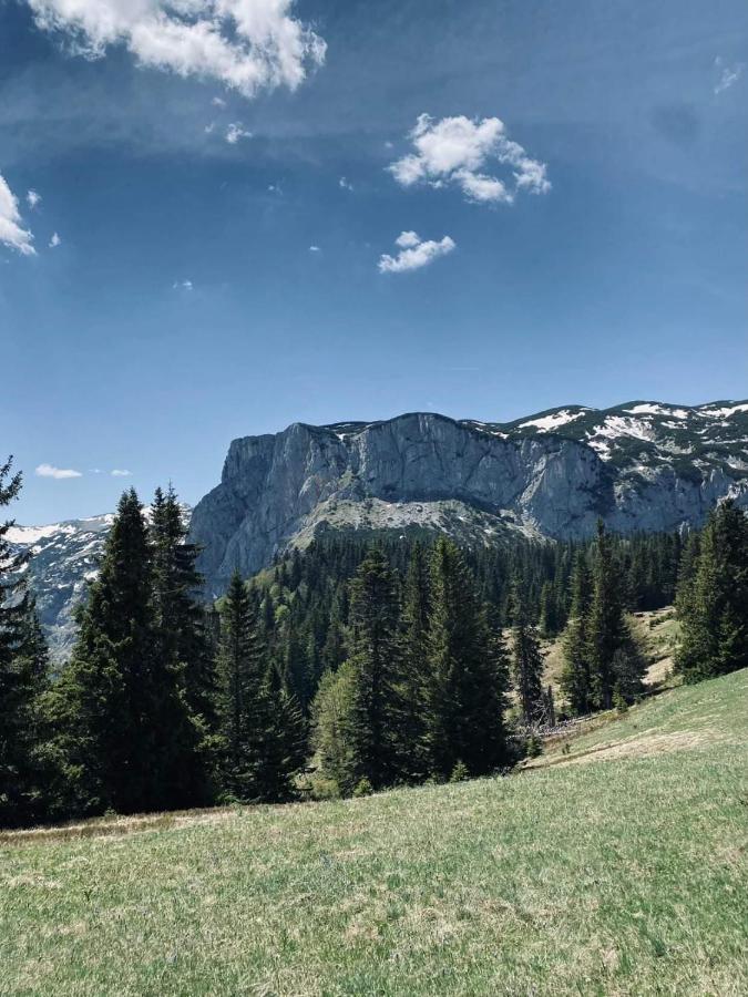 Aprartman Nikola Apartment Zabljak  Bagian luar foto